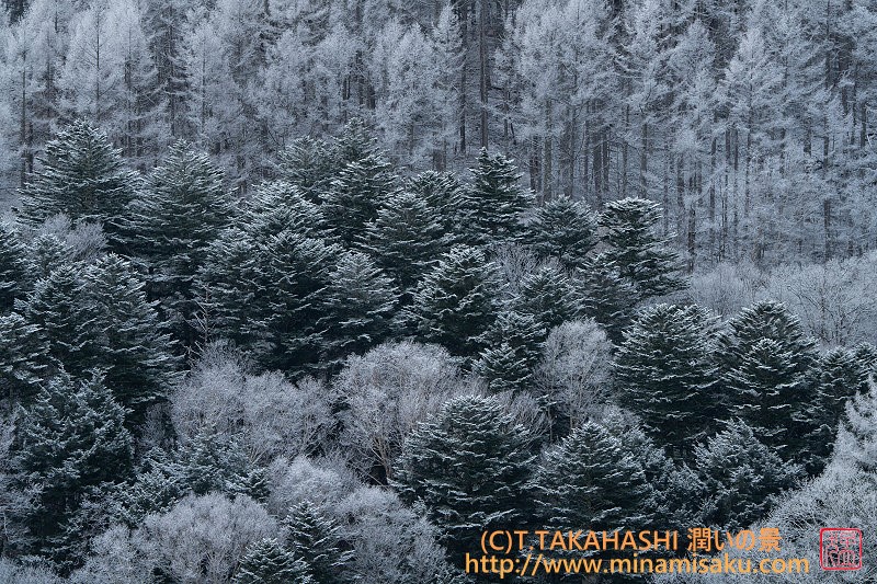 ../Images/7R251129 (20).jpg